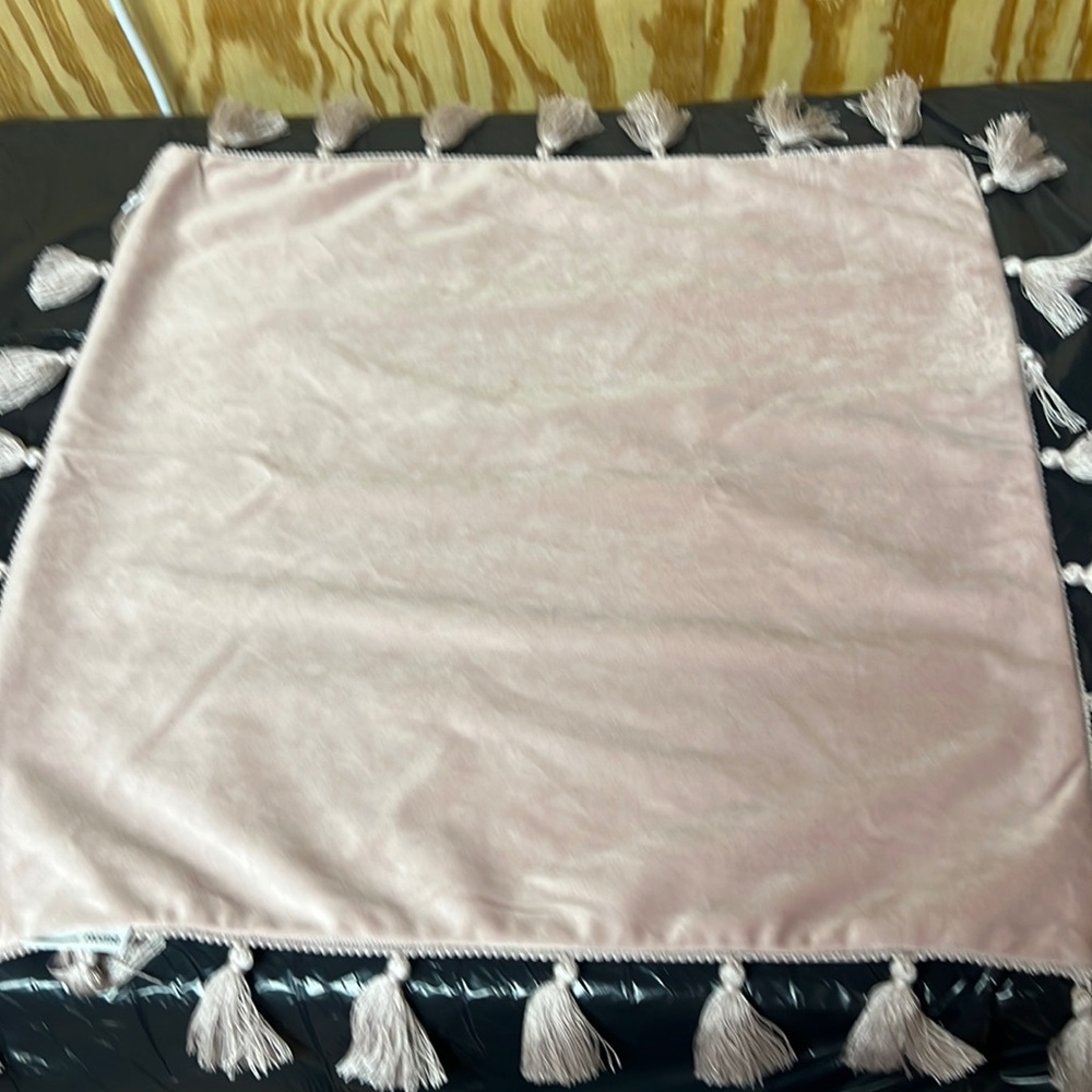 Light pink decorative pillow cover. Very soft with tassels.19x19